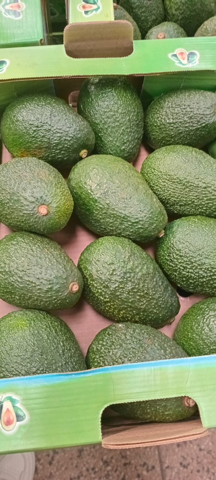 Fresh avocados in branded packaging boxes